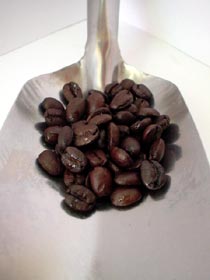 �R�����r�A�G�X�������_�������ł��I