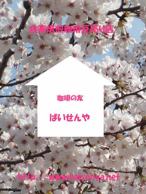 ��l�C�I1g1�~�R�[�q�[����܂��I�O�O